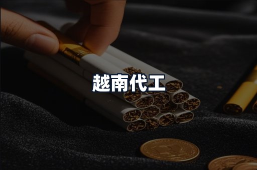 越南代工